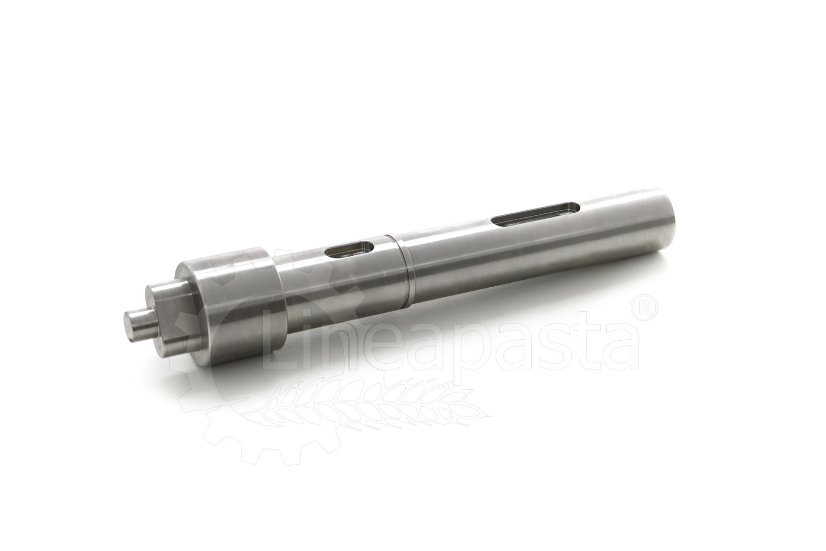 Reducer shaft with protruding coupling for La Monferrina P12