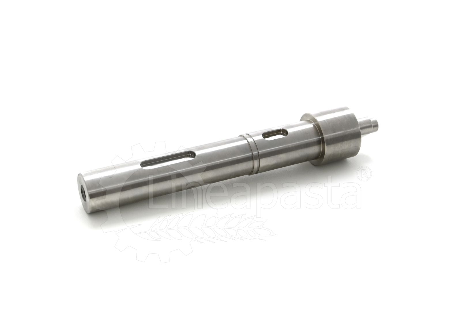 Reducer shaft with protruding coupling for La Monferrina P12