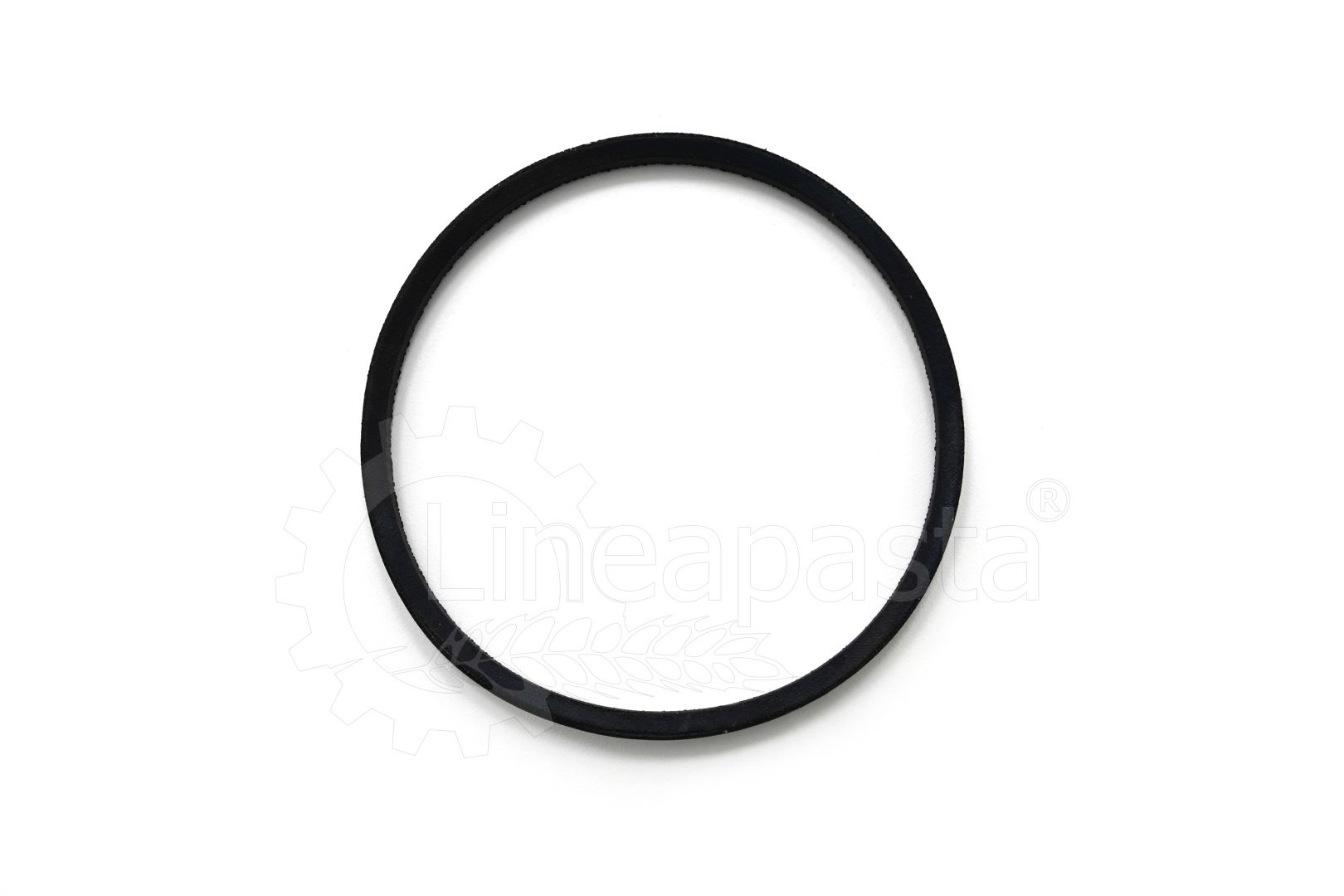 Courroie de transmission pour TR 50