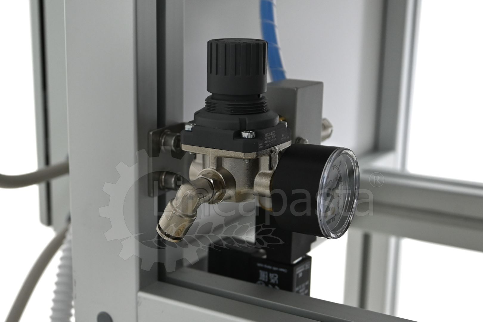 Semi-automatic small-pasta packaging machine DS Small