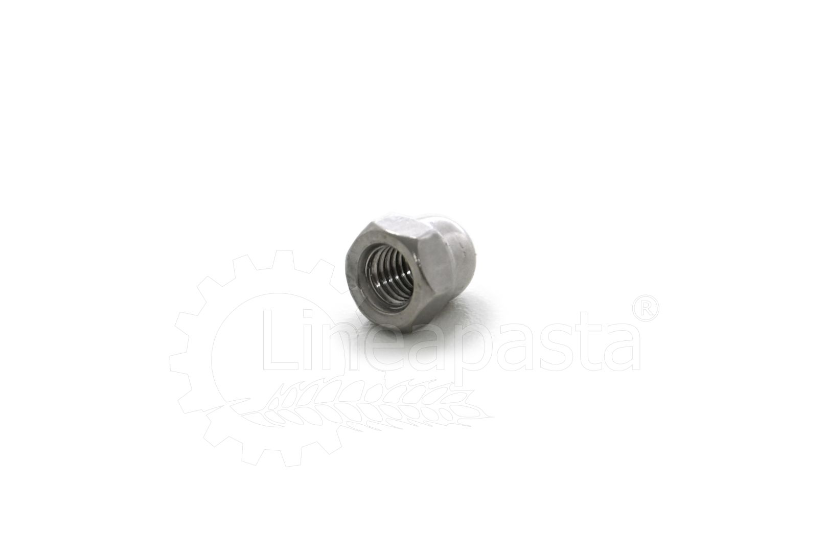 Cap nut for Fimar Lilly PF15E