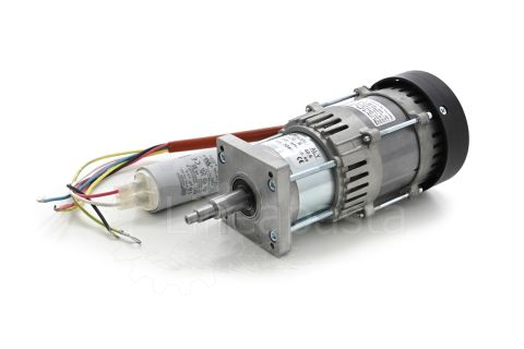 Getriebemotor für Elektrische Imperia Restaurant Professional RMN