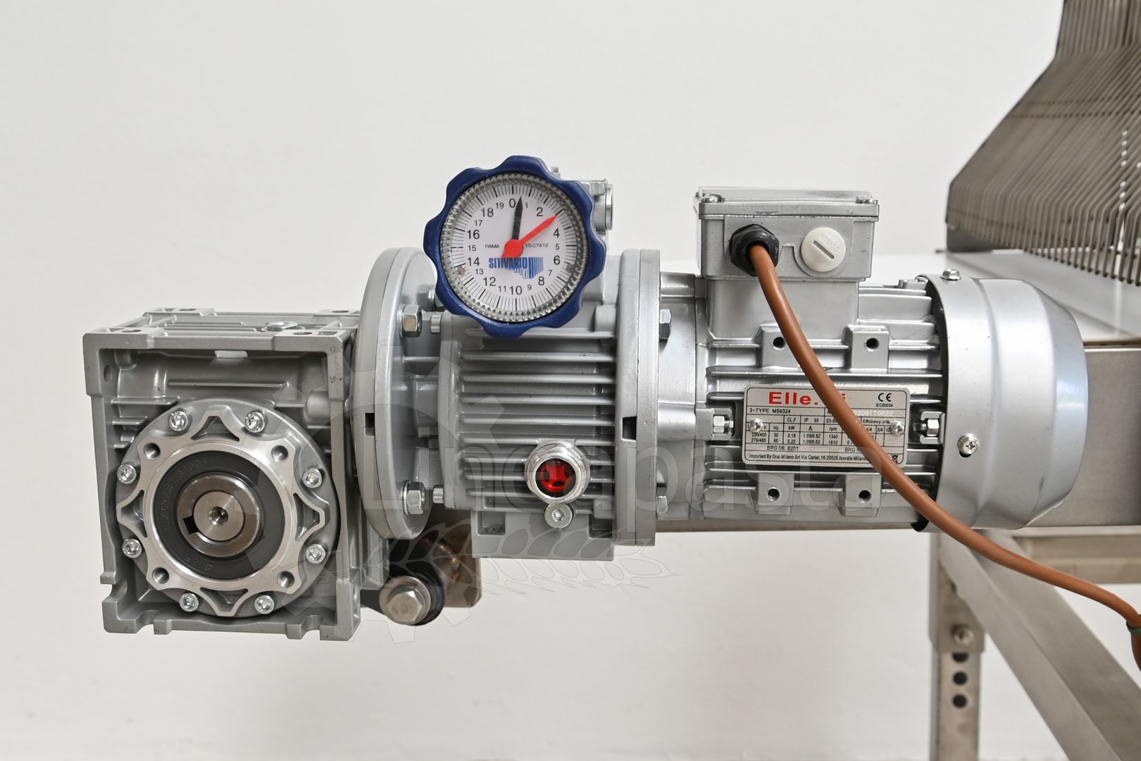 Conveyor belt for long pasta with guillotine cut