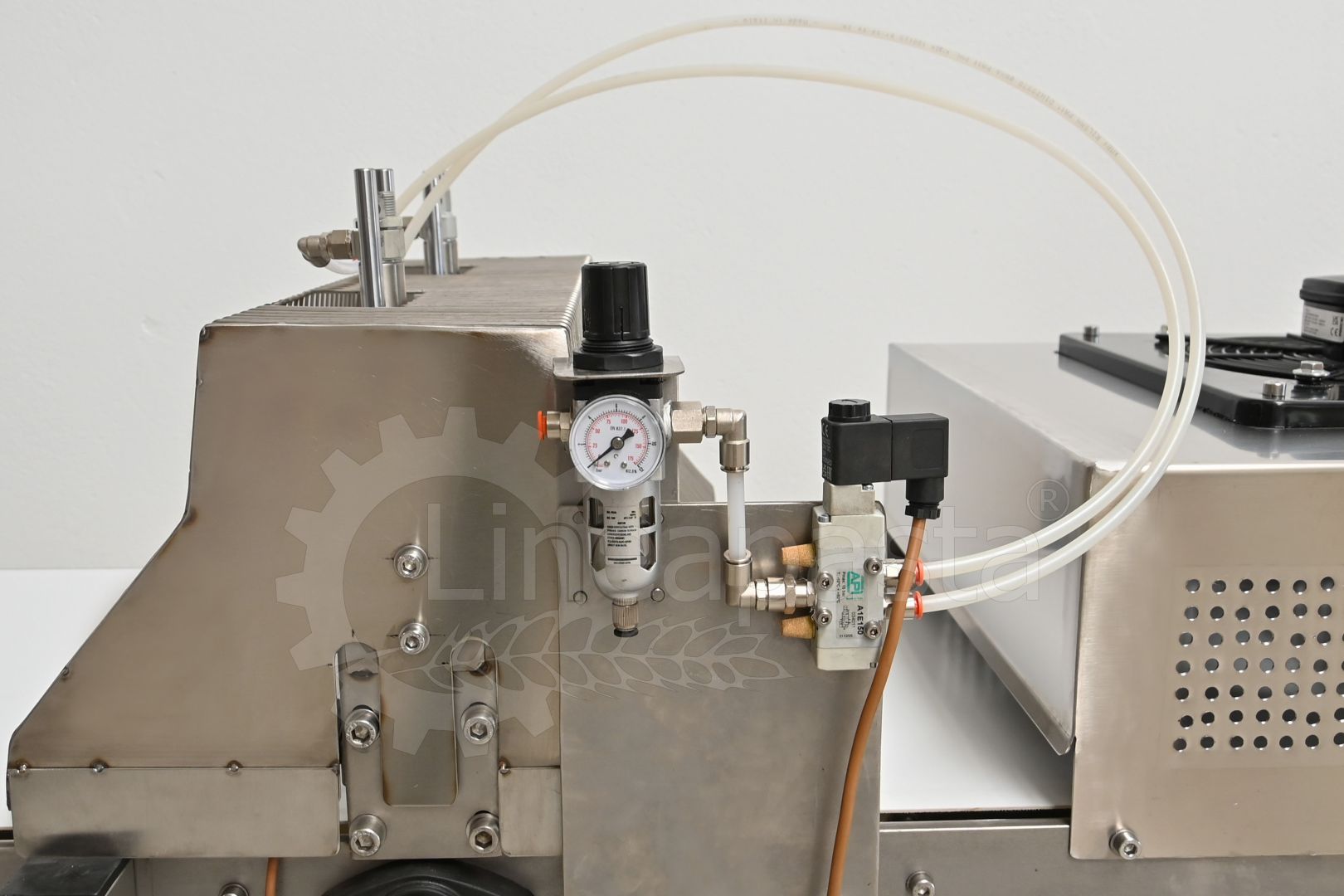 Conveyor belt for long pasta with guillotine cut