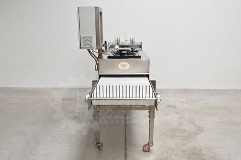 Conveyor belt for long pasta with guillotine cut