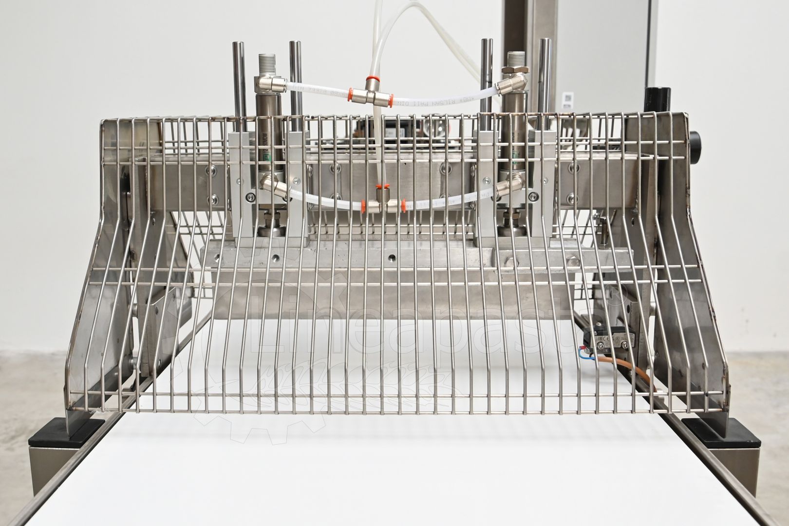 Conveyor belt for long pasta with guillotine cut Guillotine cut