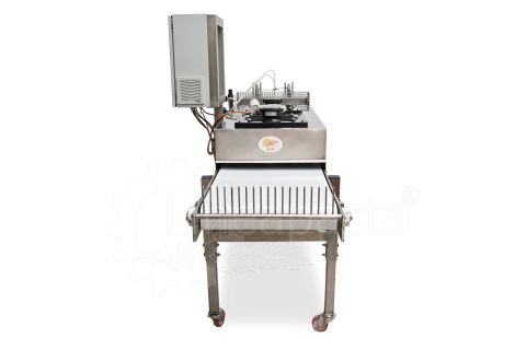Bande transporteuse pour pâte longue avec coupe en guillotine