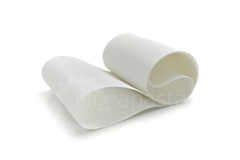 Conveyor belt for La Monferrina C1