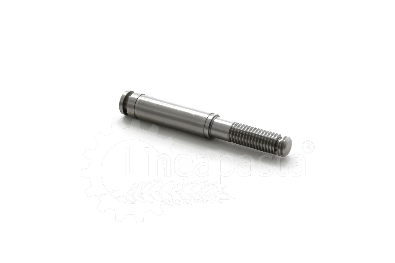 Pasadores del tensor de cadena para La Monferrina P12 LM497L