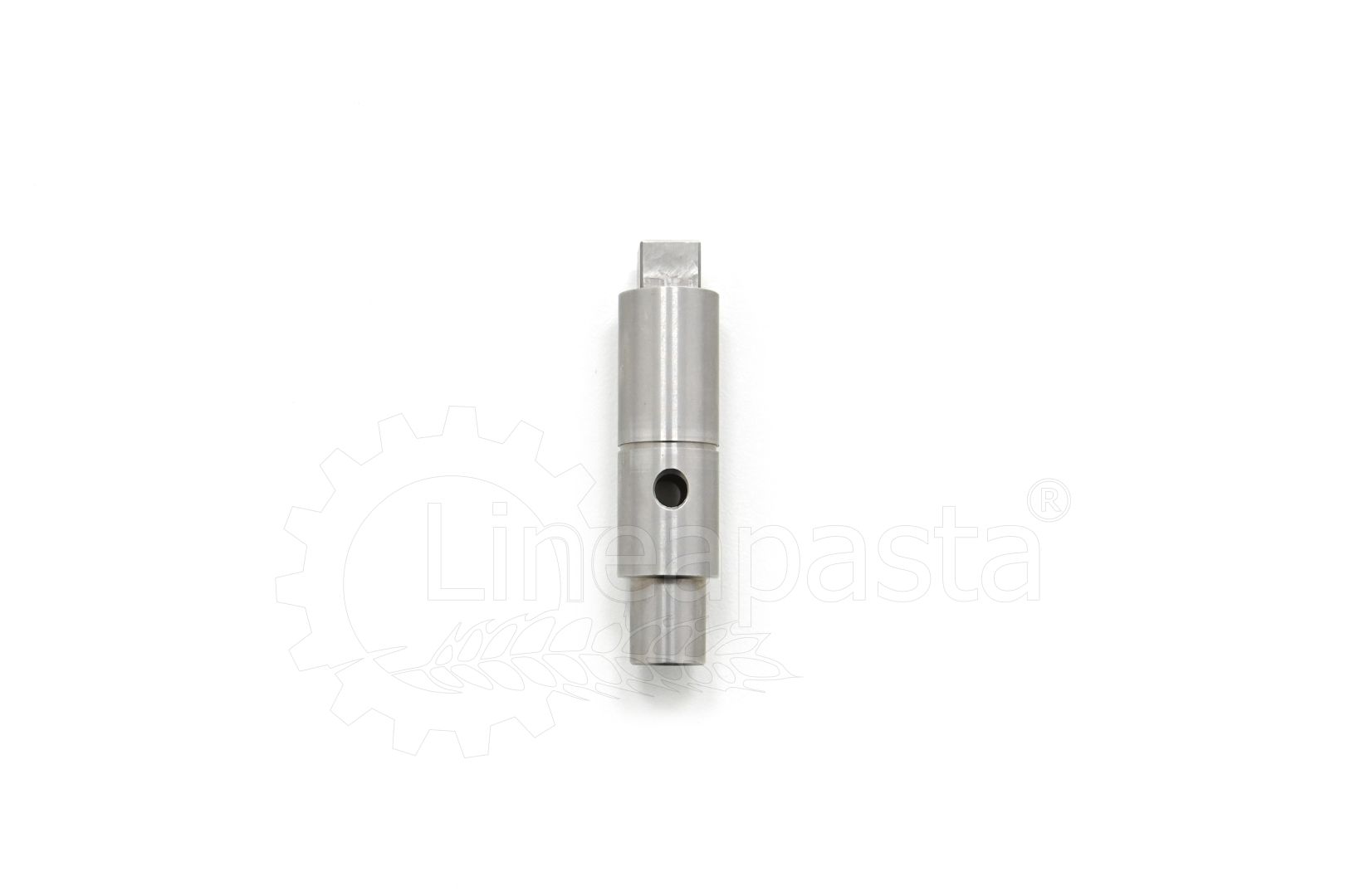 Perno albero mescolatore per Fimar Lilly PF25E