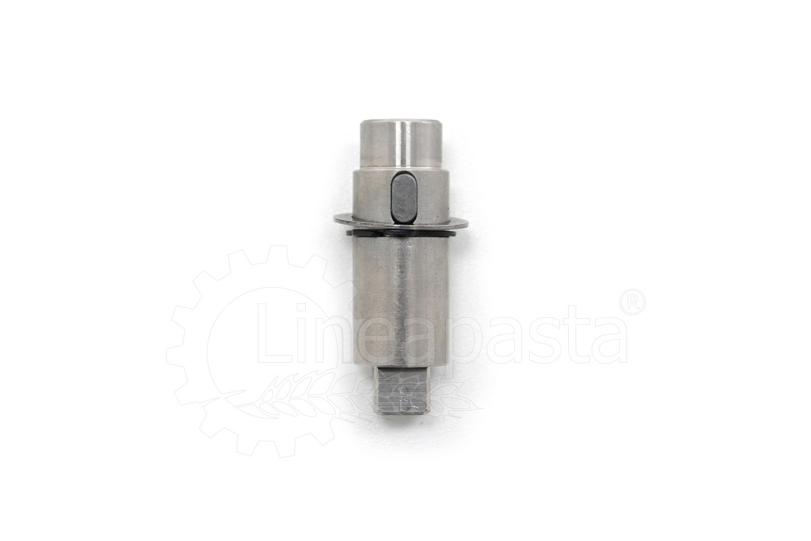 Perno albero mescolatore per Fimar MPF 1,5N