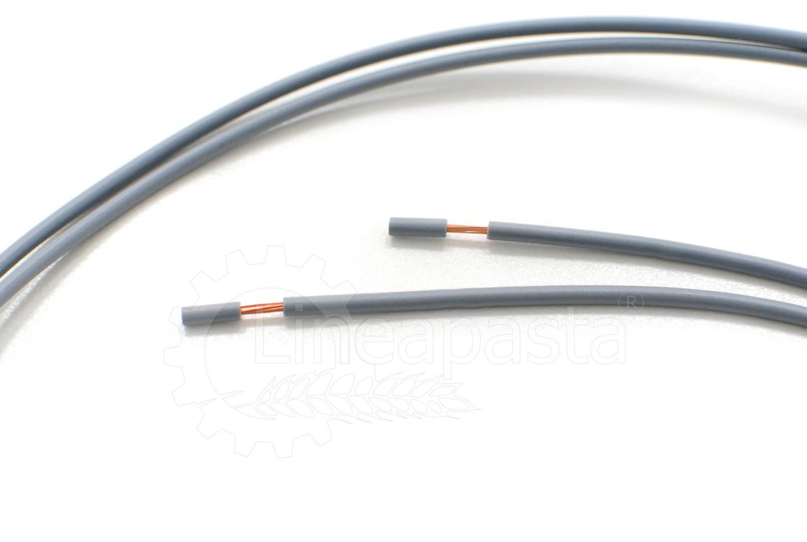 Potenziometro per SR 220